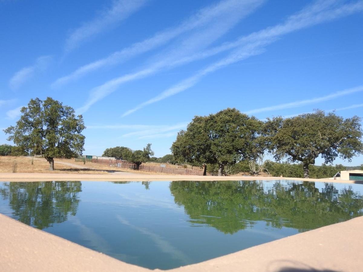 Eco-Lodge En La Reserva Privada Campanarios De Azaba - Proyecto De Conservacion Espeja Esterno foto