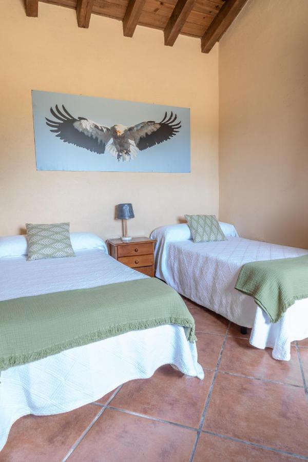 Eco-Lodge En La Reserva Privada Campanarios De Azaba - Proyecto De Conservacion Espeja Esterno foto