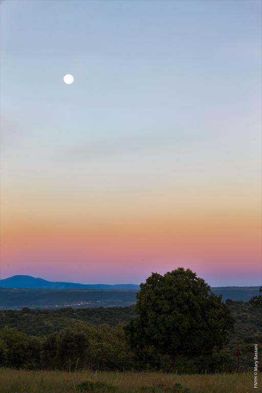 Eco-Lodge En La Reserva Privada Campanarios De Azaba - Proyecto De Conservacion Espeja Esterno foto