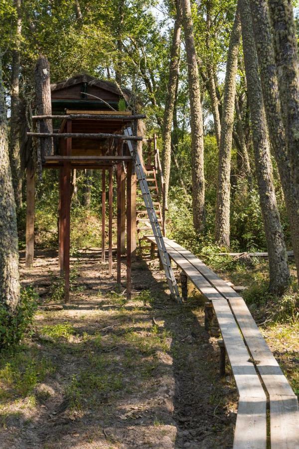 Eco-Lodge En La Reserva Privada Campanarios De Azaba - Proyecto De Conservacion Espeja Esterno foto