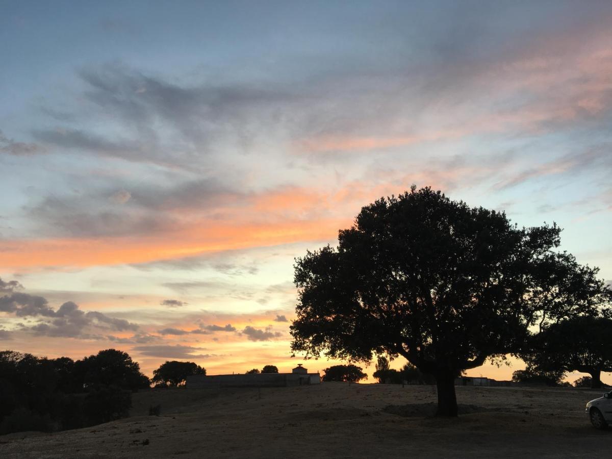 Eco-Lodge En La Reserva Privada Campanarios De Azaba - Proyecto De Conservacion Espeja Esterno foto