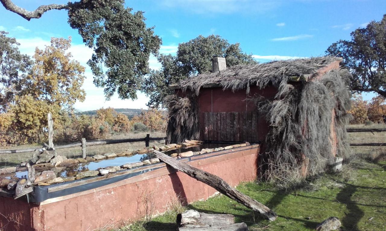 Eco-Lodge En La Reserva Privada Campanarios De Azaba - Proyecto De Conservacion Espeja Esterno foto